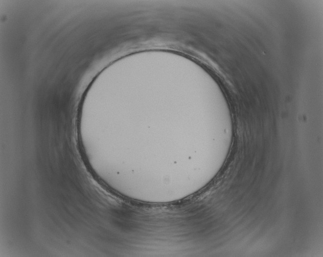 X0000072991512200608211503