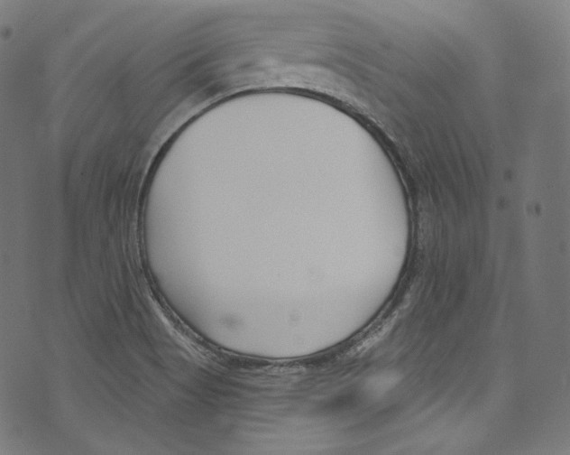 X0000072991513200608211503