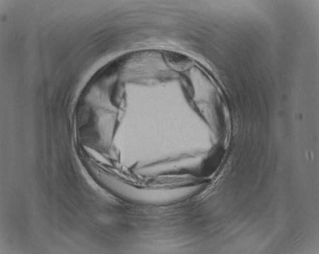 X0000072991515200608211503