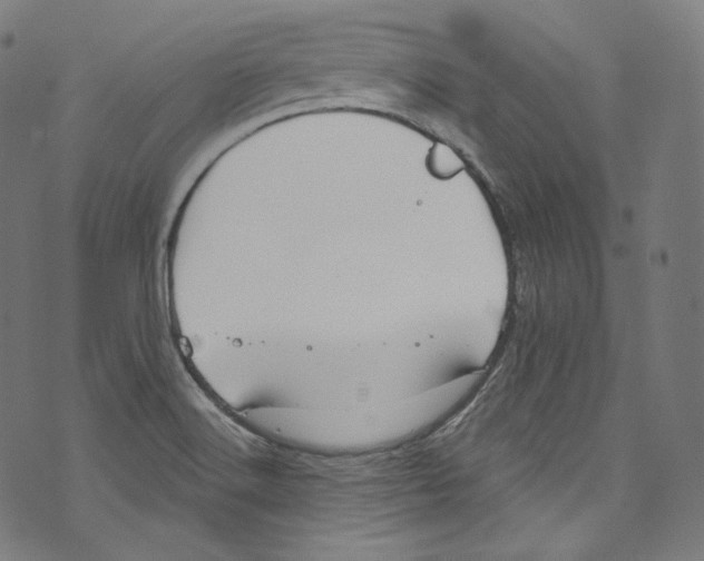 X0000072991516200608211503