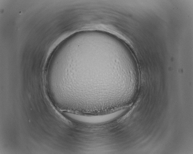 X0000072991517200608211503