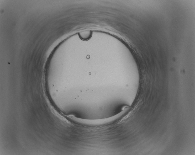 X0000072991518200608211503