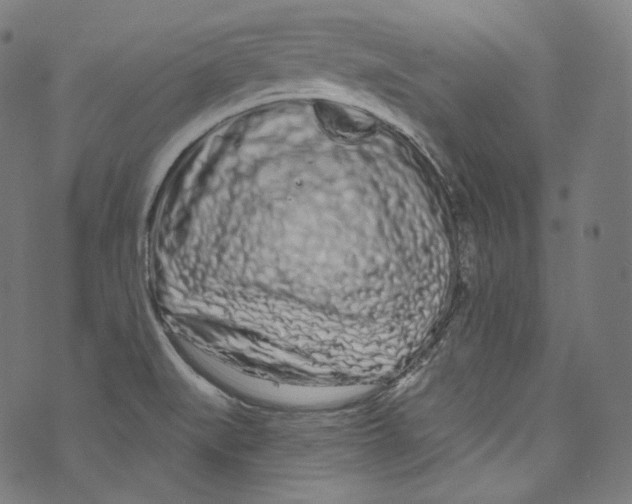 X0000072991519200608211503