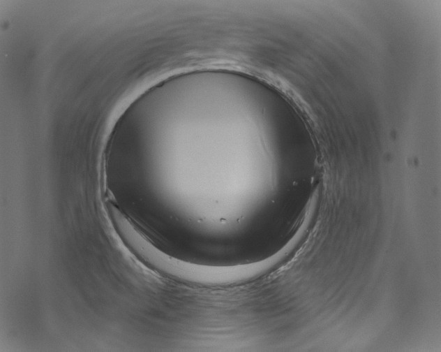 X0000072991520200608211503