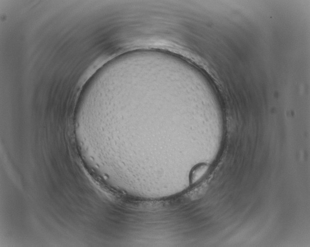 X0000072991521200608211503