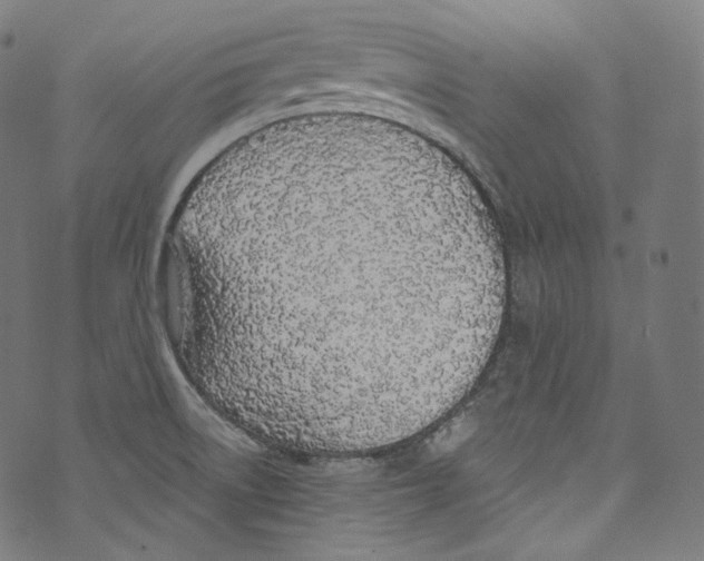 X0000072991522200608211503