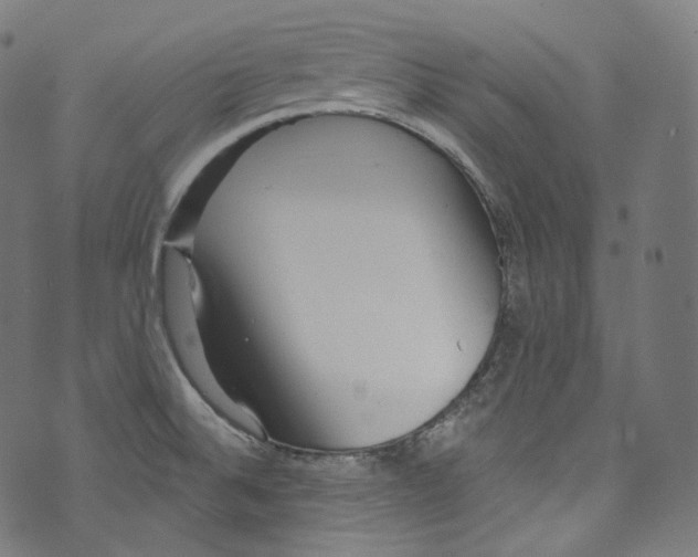 X0000072991524200608211503