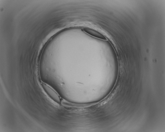 X0000072991525200608211503