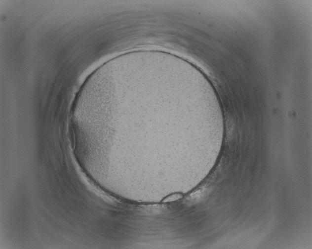 X0000072991526200608211503