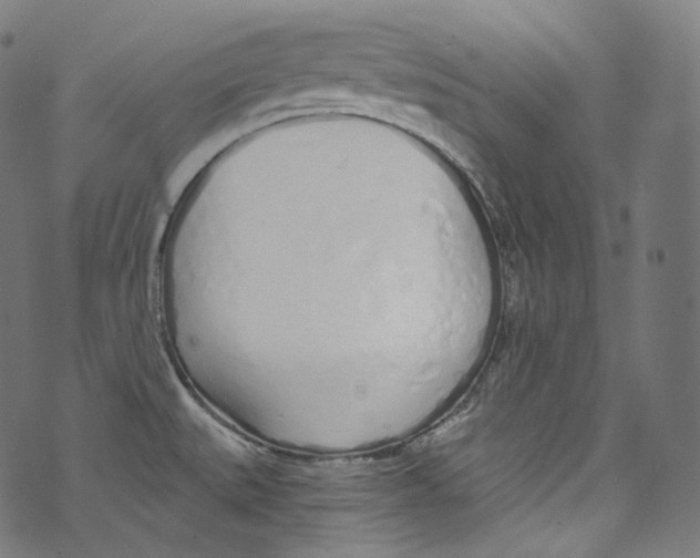 X0000072991527200608211503