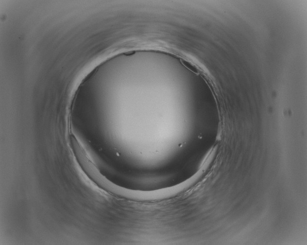 X0000072991528200608211503