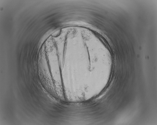 X0000072991529200608211503