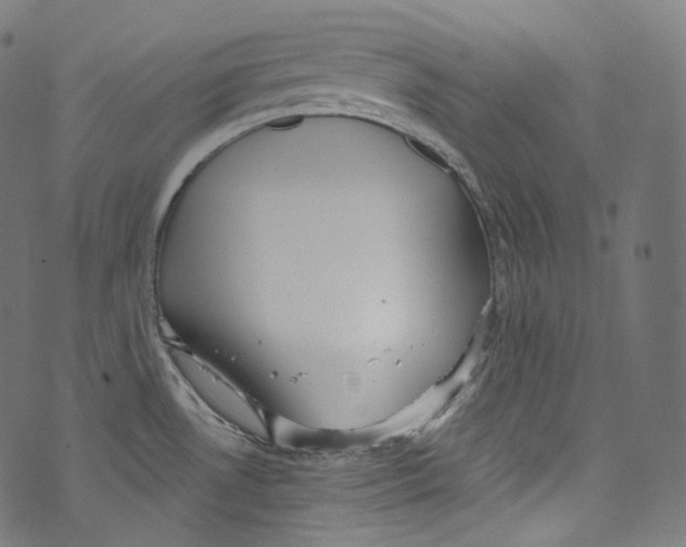 X0000072991530200608211503