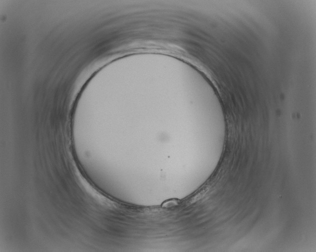 X0000072991531200608211503