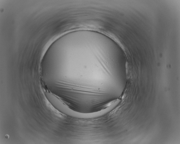 X0000072991532200608211503