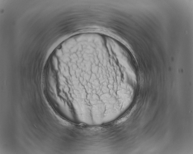 X0000072991533200608211503