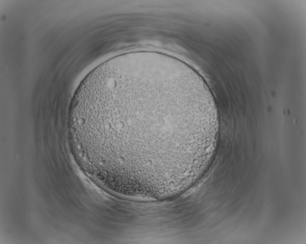 X0000072991534200608211503