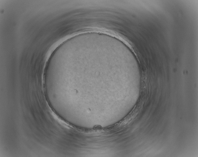 X0000072991535200608211503