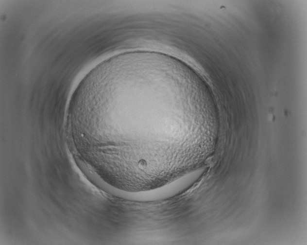 X0000072991536200608211503