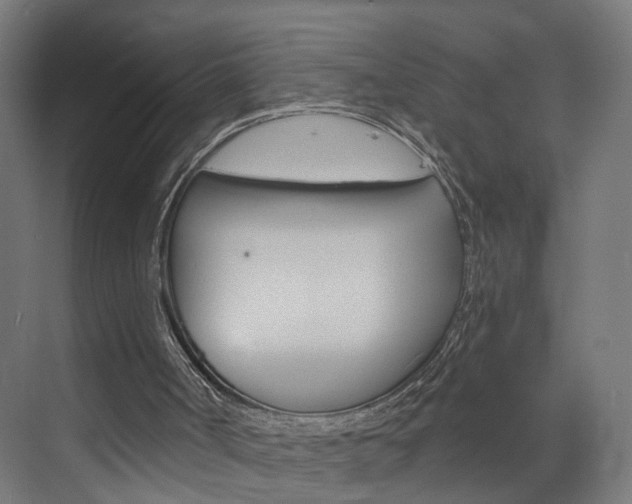 X0000073390002200607280921