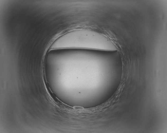 X0000073390003200607280921