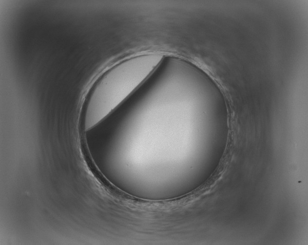 X0000073390007200607280921