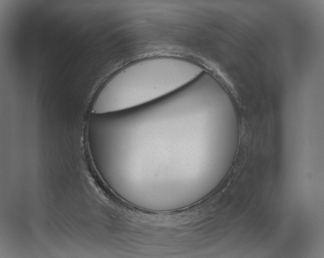 X0000073390010200607280921