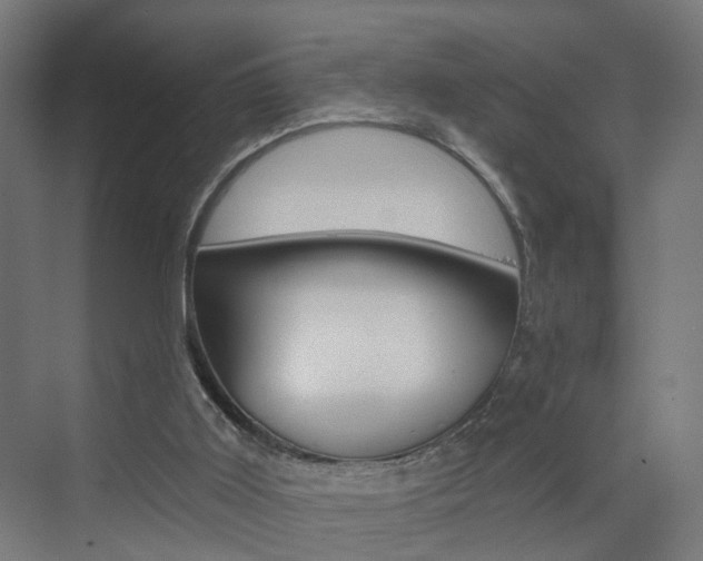 X0000073390011200607280921