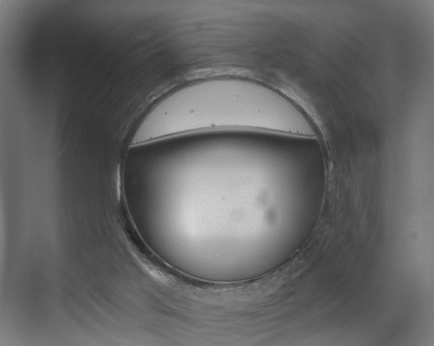 X0000073390013200607280921