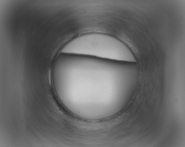X0000073390014200607280921
