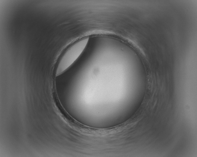 X0000073390015200607280921