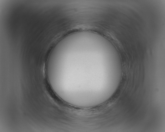 X0000073390024200607280920