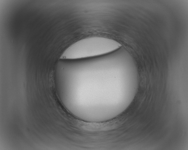 X0000073390034200607280920
