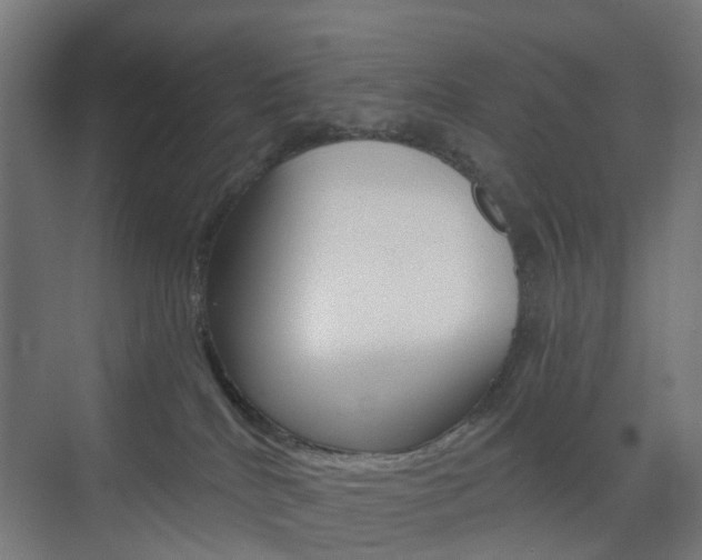 X0000073390040200607280920