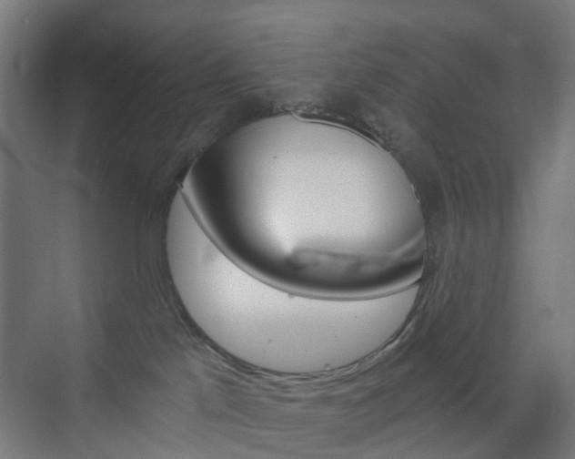 X0000073390041200607280920
