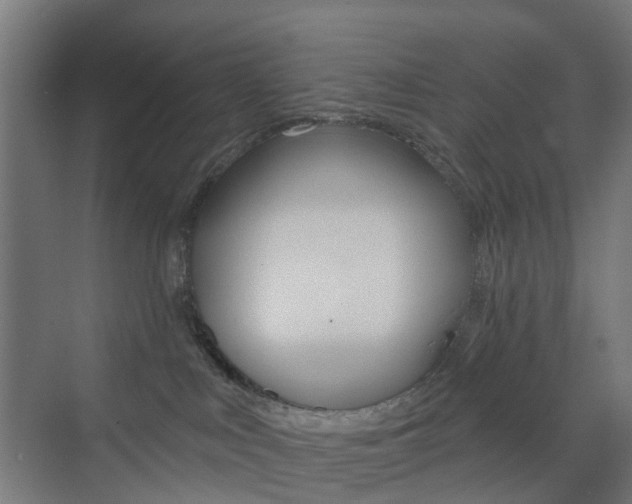 X0000073390043200607280920
