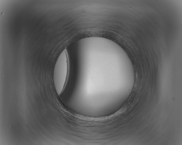 X0000073390048200607280920