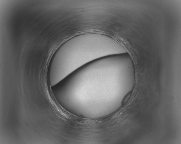 X0000073390049200607280919