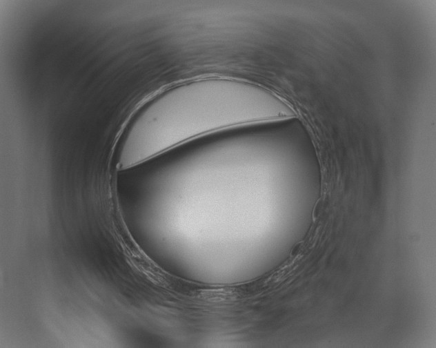 X0000073390050200607280919