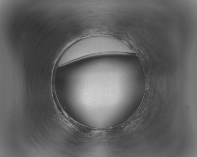 X0000073390052200607280919