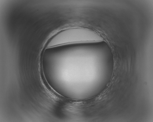 X0000073390054200607280919
