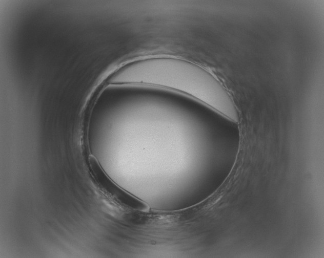 X0000073390056200607280919