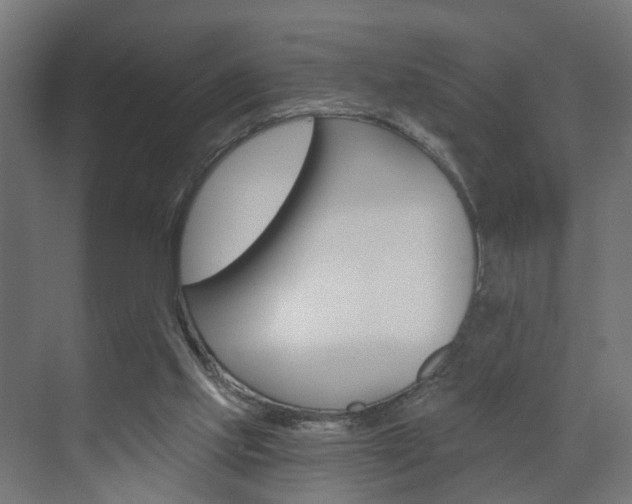 X0000073390061200607280919