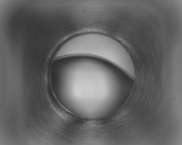 X0000073390064200607280920