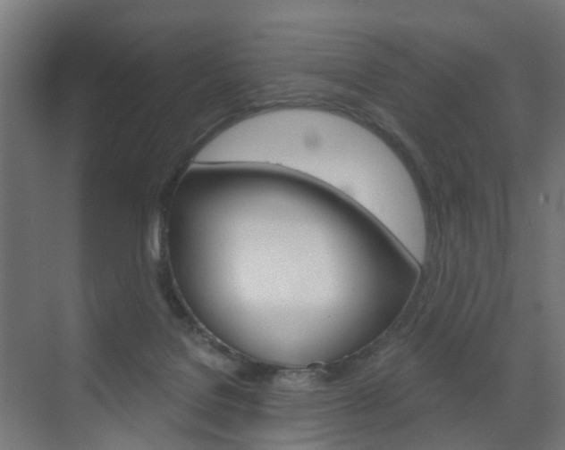 X0000073390076200607280920