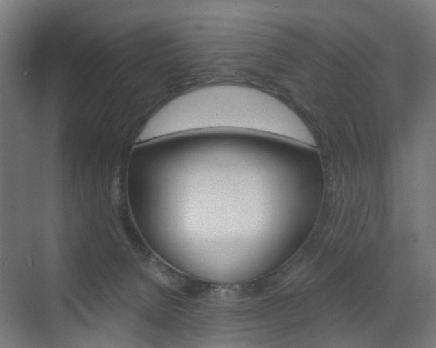 X0000073390080200607280920