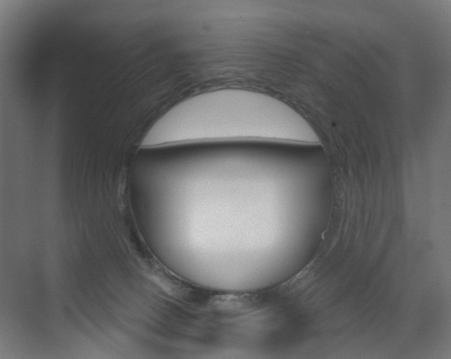 X0000073390082200607280920
