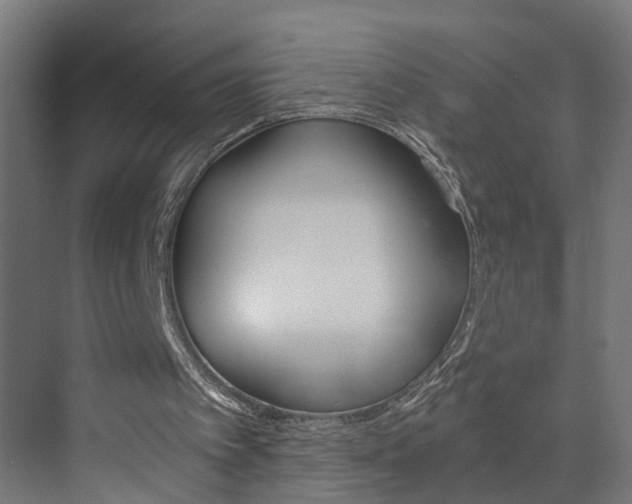 X0000073390097200607280919