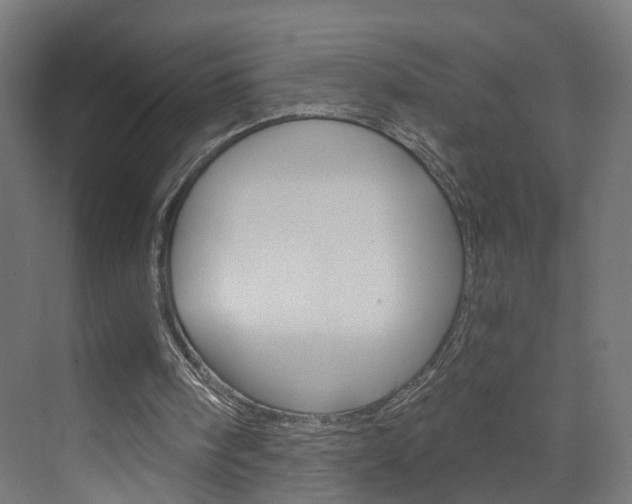 X0000073390098200607280919