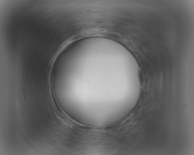 X0000073390099200607280919